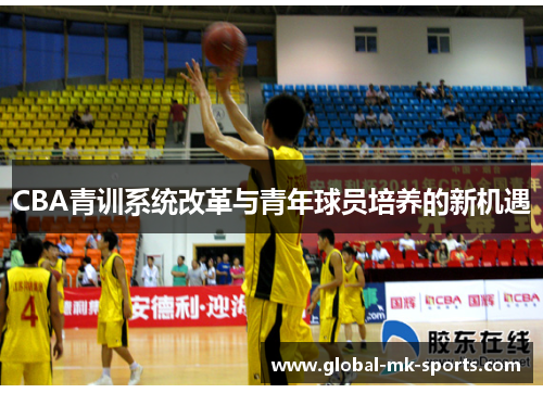 CBA青训系统改革与青年球员培养的新机遇